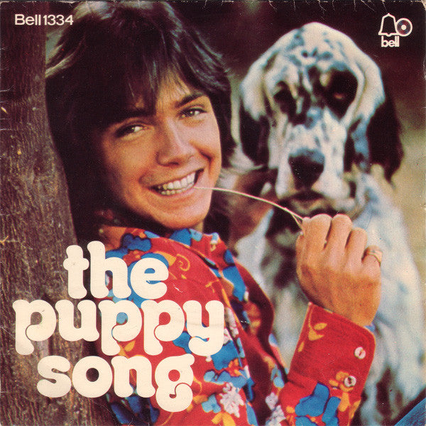 David Cassidy - Daydreamer / The Puppy Song - Used Vinyl Record 7"