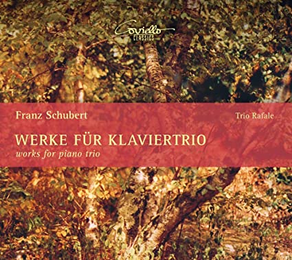 RAFALE TRIO - WORKS FOR PIANO TRIO - CD