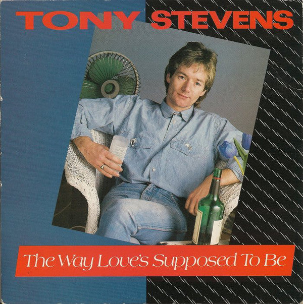 Tony Stevens - Way Love's Supposed To Be - Used Vinyl Record 7"