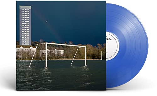 We Don't Like The People We've Become - Vinyl Record