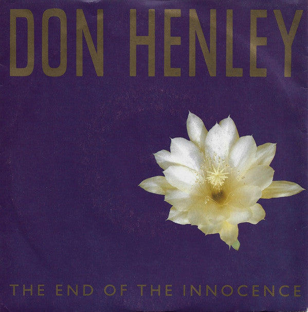 Don Henley - End Of The Innocence - Used Vinyl Record 7"