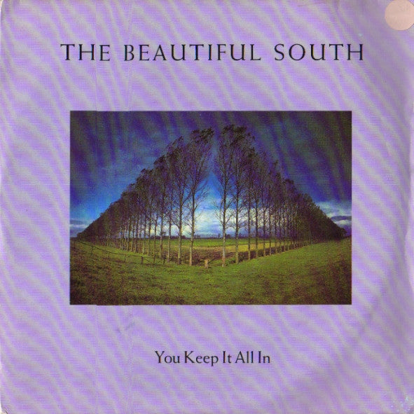Beautiful South - You Keep It All In - Used Vinyl Record 7"