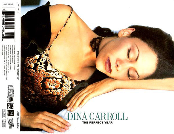 Dina Carroll - Perfect Year - Used CD