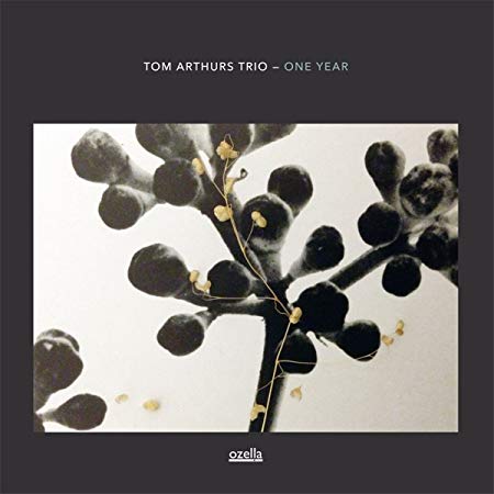 Tom Arthurs Trio - One Year - CD