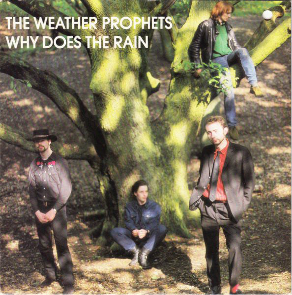 Weather Prophets - Why Does The Rain - Used Vinyl Record 7"