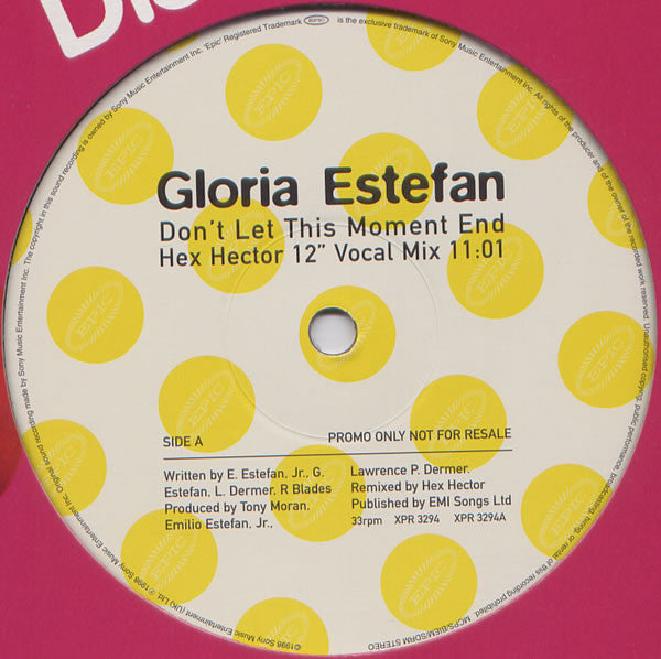 Gloria Estefan - Don't Let This Moment End - Used Vinyl Recor