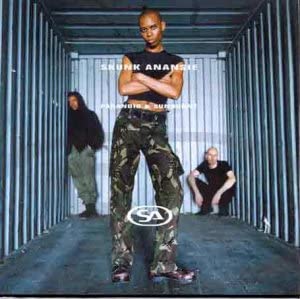 Skunk Anansie - Paranoid And Sunburnt - Vinyl Record 12 INCH RECORD