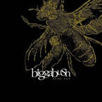 Bigga Bush - Acid Fly - Used Vinyl Record 12"