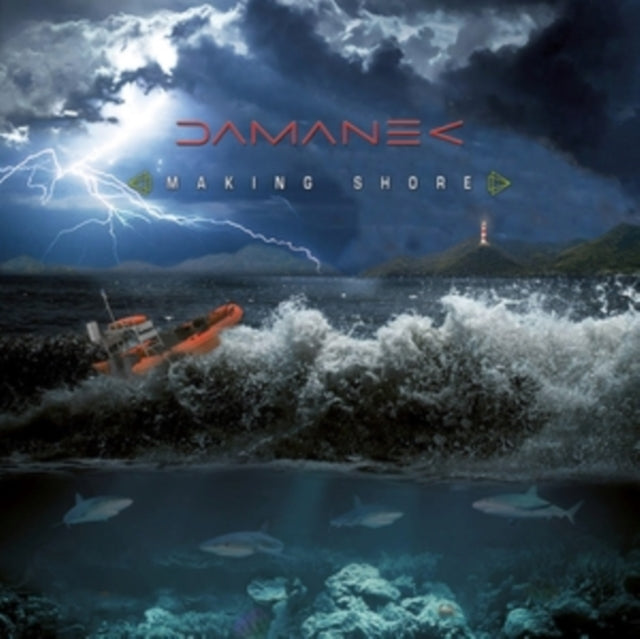 DAMANEK - MAKING SHORE - Vinyl Record