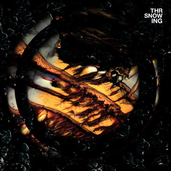 Throwing Snow - Dragons - Used Vinyl Record