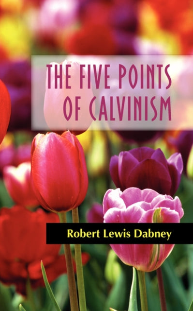 Dabney - FIVE POINTS OF CALVINISM - New paperback or softback