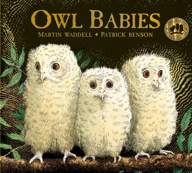 Martin Waddell - Owl Babies - Board book