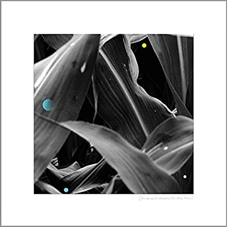 ARTHUR KING - CHANGING LANDSCAPES (WAUTERS F - Vinyl Record