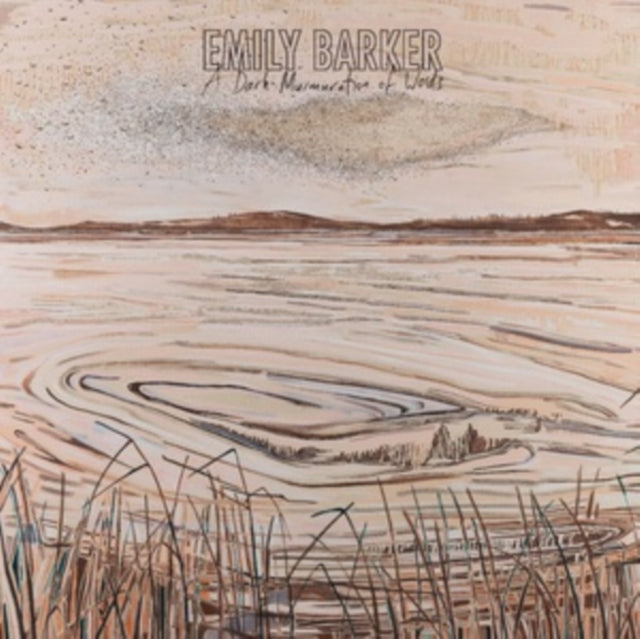 BARKER EMILY - A DARK MURMURATION OF WORDS - CD