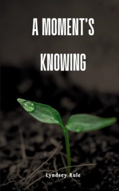 Rul - A moment's knowing - New paperback or softback
