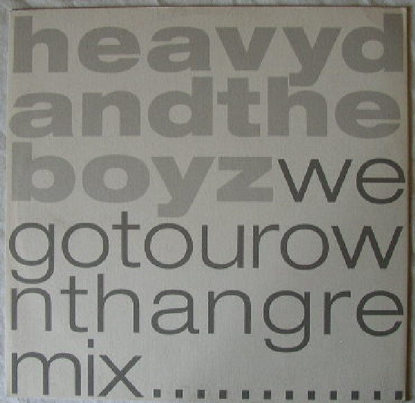 Heavy D. & The Boyz - We Got Our Own Thang - Used Vinyl 12"