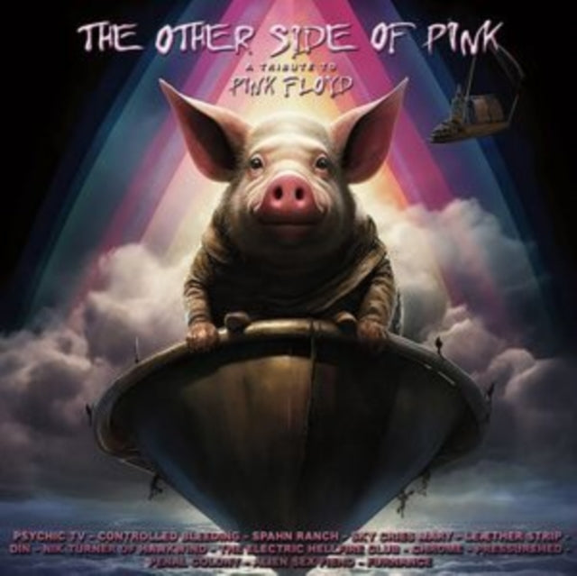 VARIOUS ARTISTS<BR / - OTHER SIDE OF PINK - A TRI - Vinyl Record