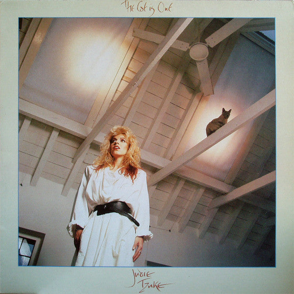 Judie Tzuke - Cat Is Out - Used Vinyl Record