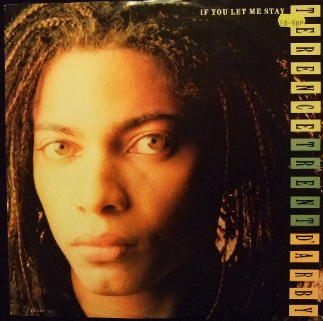 Terence Trent D'Arby - If You Let Me Stay - Used Vinyl Record 12"