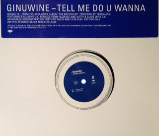 Ginuwine - Tell Me Do U Wanna - Used Vinyl Record 12"