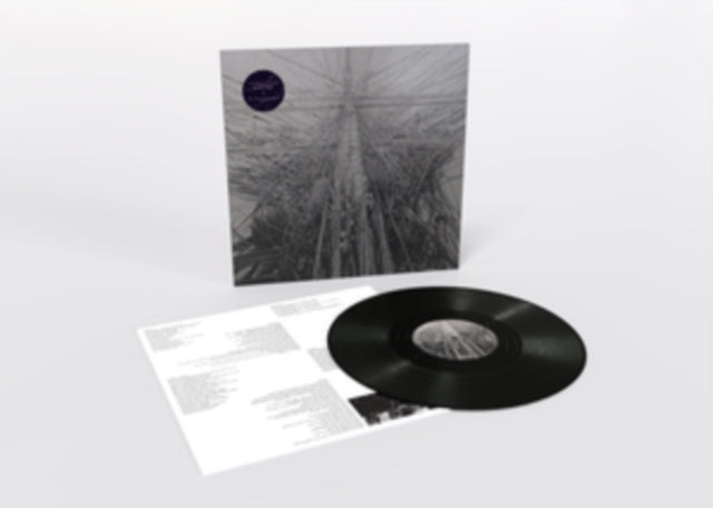 Arone Dyer & Starg - Arone Dyer & Stargaze - arone x s t a r g a z