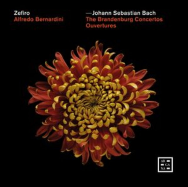 ZEFIRO; ALFREDO BERN - BACH THE BRANDENBURG CONCERTO - CD