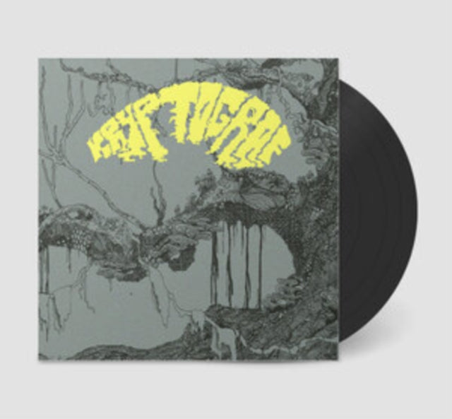 KRYPTOGRAF - Vinyl Record