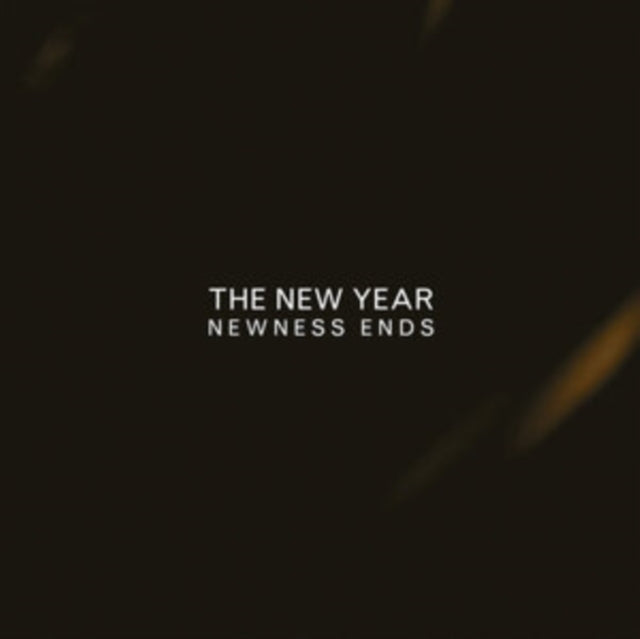 NEW YEAR - NEWNESS ENDS - Vinyl Record VL