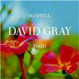 David Gray - Hospital Food - Used Vinyl Record 7"