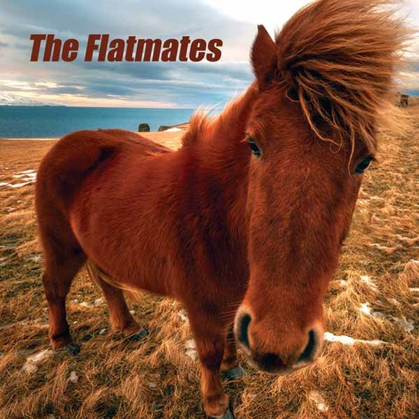 FLATMATES - Vinyl Record