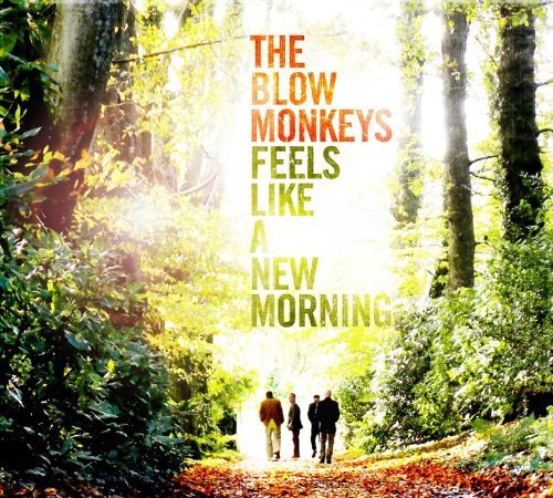 BLOW MONKEYS - Feels Like A New Morning - CD