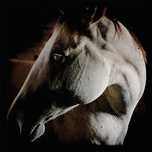 BROTHER DEGE - HOW TO KILL A HORSE - CDD