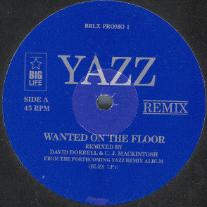 Yazz - Wanted On The Floor Remix - Used Vinyl Record 12"