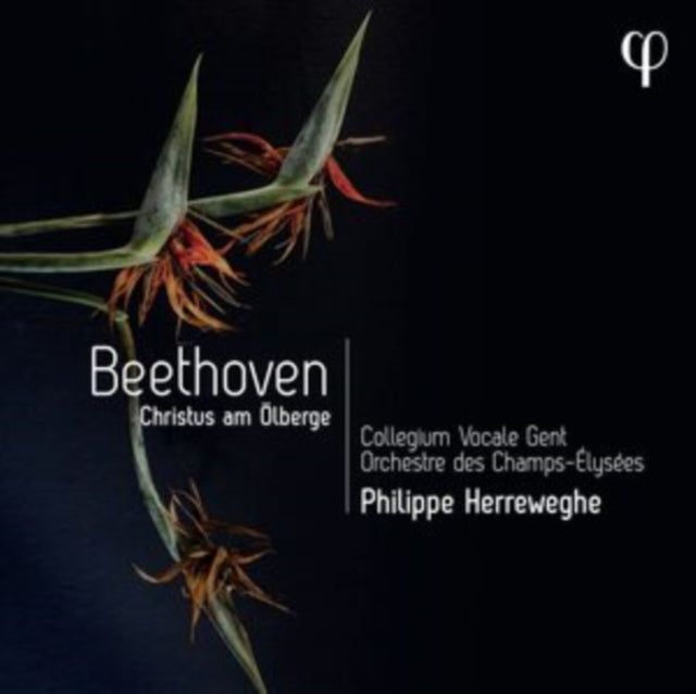 PHILIPPE HERREWEGHE; - BEETHOVEN CHRISTUS AM OLBERGE - CD