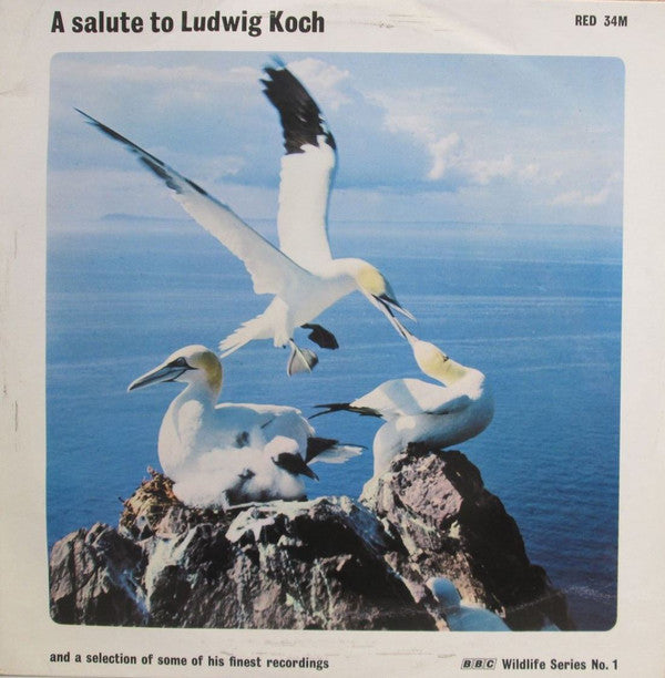 Ludwig Koch - A Salute To - Used Vinyl Record