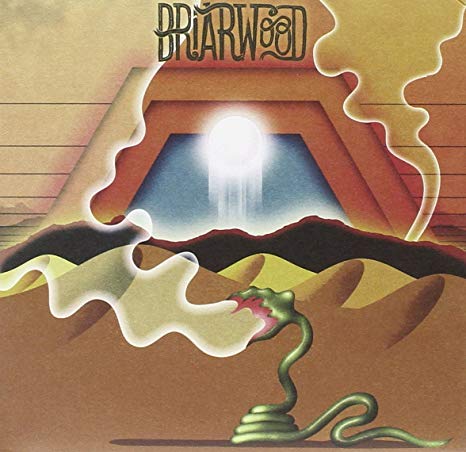 Wooden Wand - Briarwood - CD