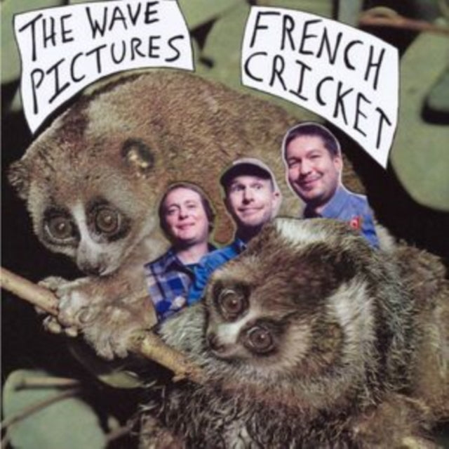 WAVE PICTURES - FRENCH CRICKET - Vinyl Record VL