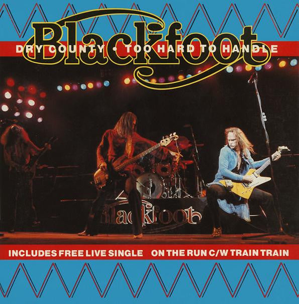 Blackfoot - Dry County - Used Vinyl Record 7"