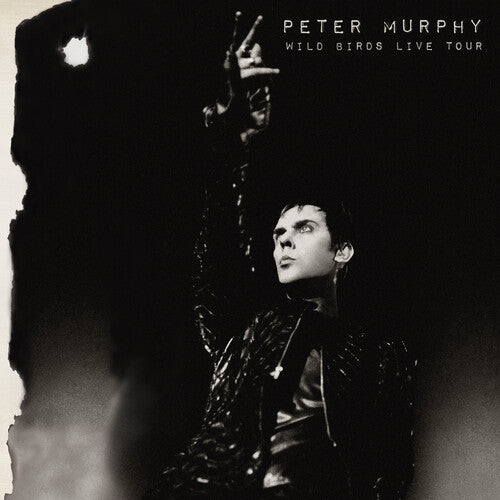 MURPHY - WILD BIRDS LIVE TOUR (PURPLE & BLACK) - Vinyl Record
