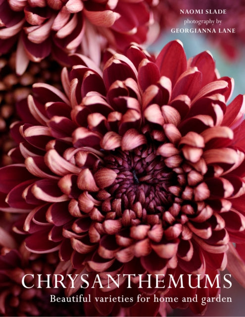 Georgianna Lane - Chrysanthemums : Beautiful Varieties for Home and Ga