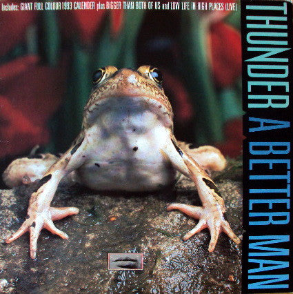 Thunder - A Better Man - Used Vinyl Record 12"