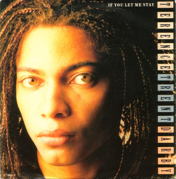 Terence Trent D'Arby - If You Let Me Stay - Used Vinyl Record 7"