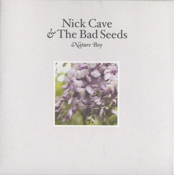 Nick Cave & The Bad - Nature Boy - Used CD