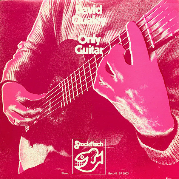 David Qualey - Only Guitar - Used Vinyl Record