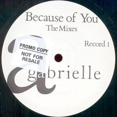 Gabrielle - Because of You - The Mixes - Used Vinyl Record 1