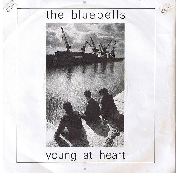 Bluebells - Young At Heart - Used Vinyl Record 7"