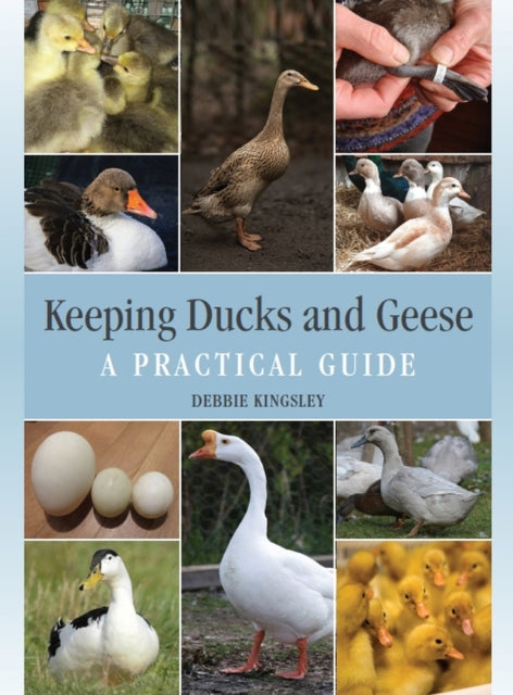 Debbie Kingsley - Keeping Ducks and Geese : A Practical Guide - Hardba
