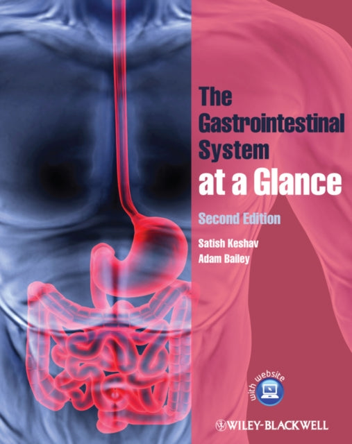 Adam Bailey - Gastrointestinal System at a Glance - New Paperback