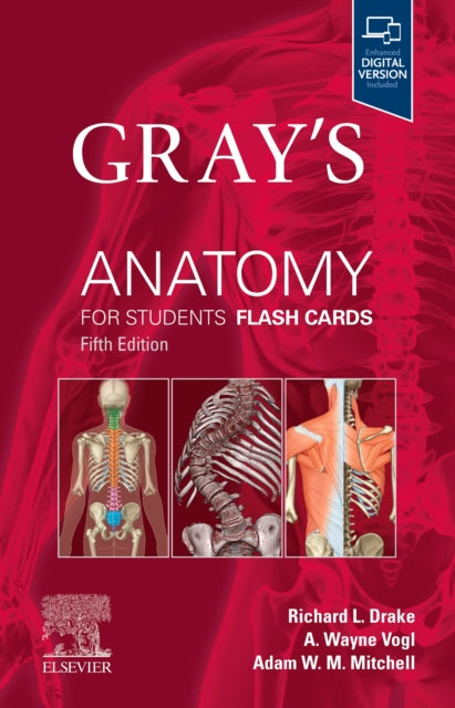 Adam W.M. Mitchell - Gray's Anatomy for Students Flash Cards - New