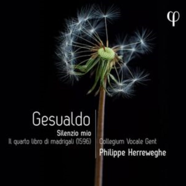 COLLEGIUM VOCALE GEN - GESUALDO SILENZIO MIO. IL QUA - CD